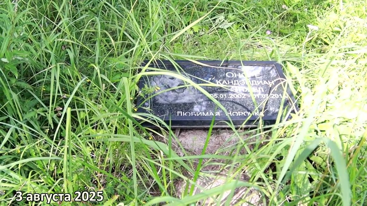 Оноре Кандэидиан Энжел.