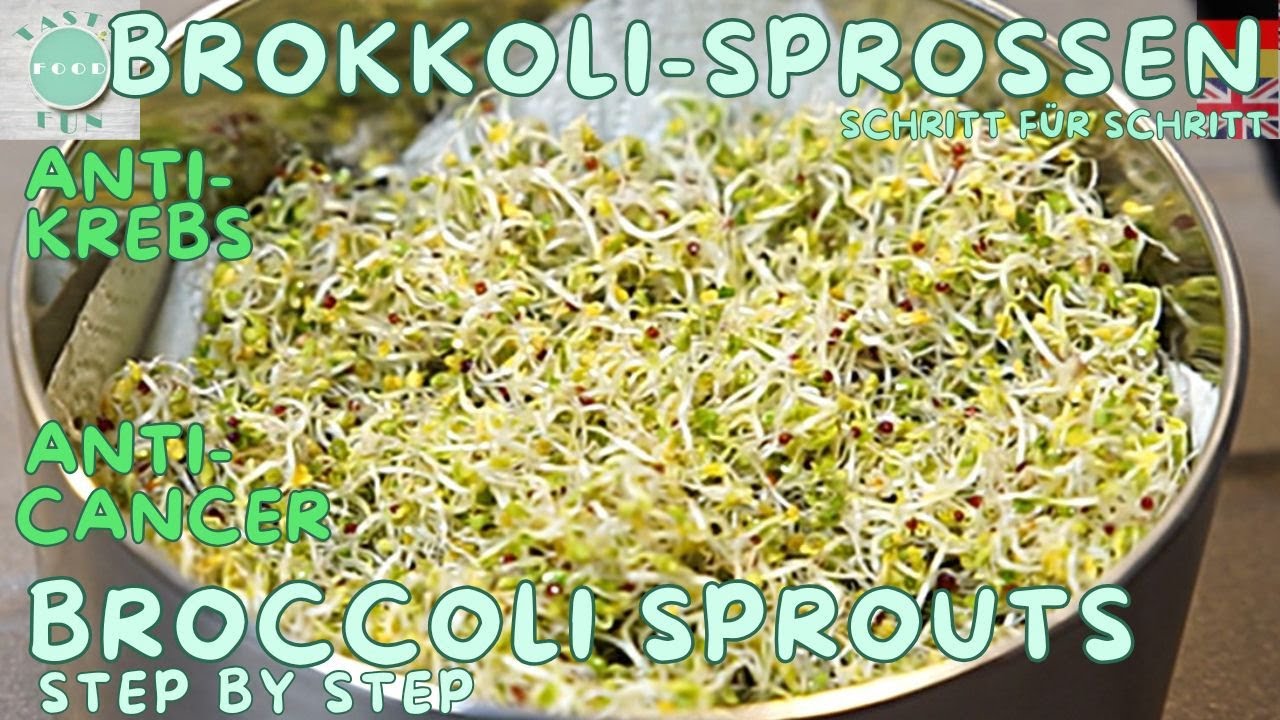 Brokkoli-Sprossen: Anti-Krebs,für Diabetiker, Herz & Blutdruck,Immunsystem, reich an Vitamin C&K 20