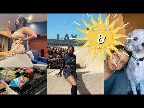 The Shortest Cali Vlog Part 2 + Grocery Haul