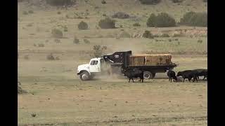 RCMR Square Bale Processor