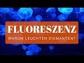 Fluoreszenz bei Diamanten - Gut oder schlecht? | Was Diamanten und Quallen gemeinsam haben