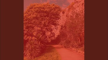 Cool Backdrops for Guided Chants