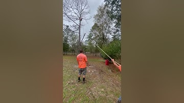 Controlled speed line🌎Rigging Hub🤗