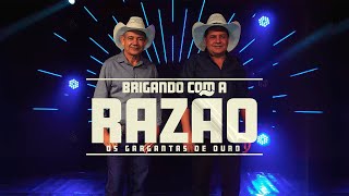 Os Gargantas de Ouro - Brigando com a Razão (Clipe Oficial)