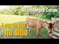 ROTINA DA VIDA NA ROÇA - DA CIDADE PRO CAMPO