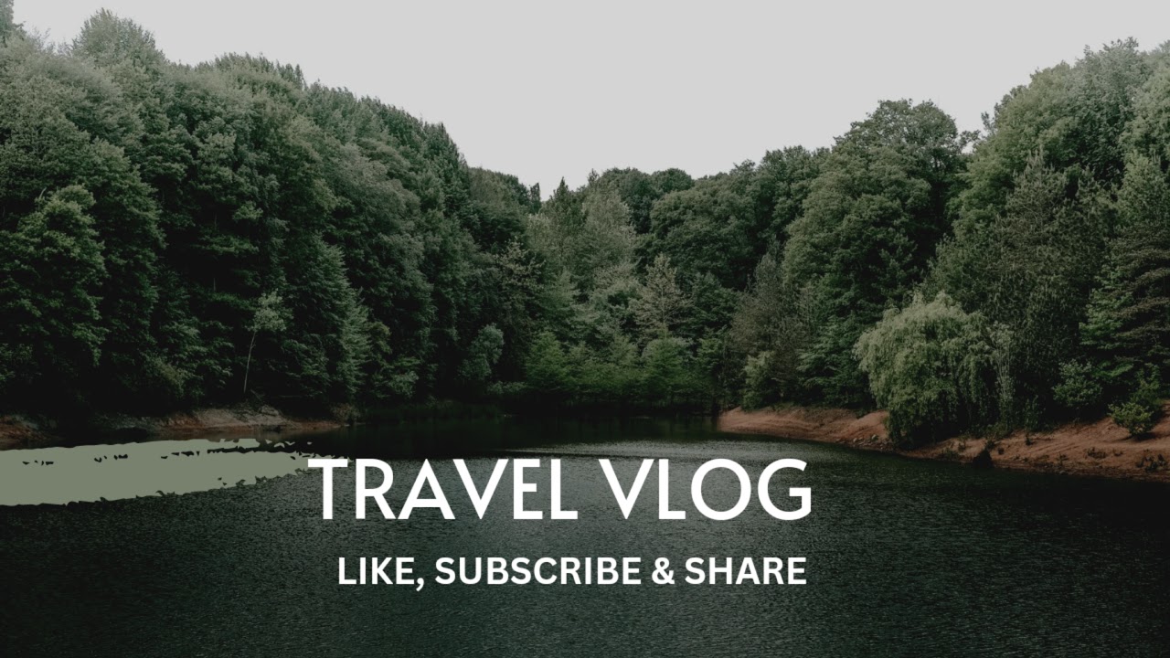 One vlog xyz Live Stream YouTube