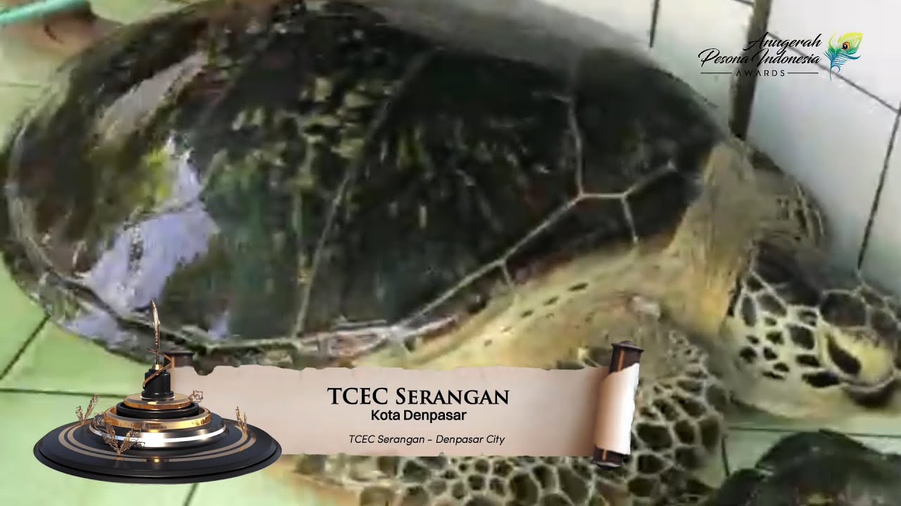 TURTLE CONSERVATION AND EDUCATION CENTER AT THE HEART OF BALI ISLAND