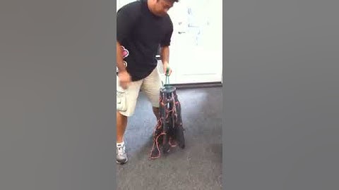 Collapsible crab/lobster trap