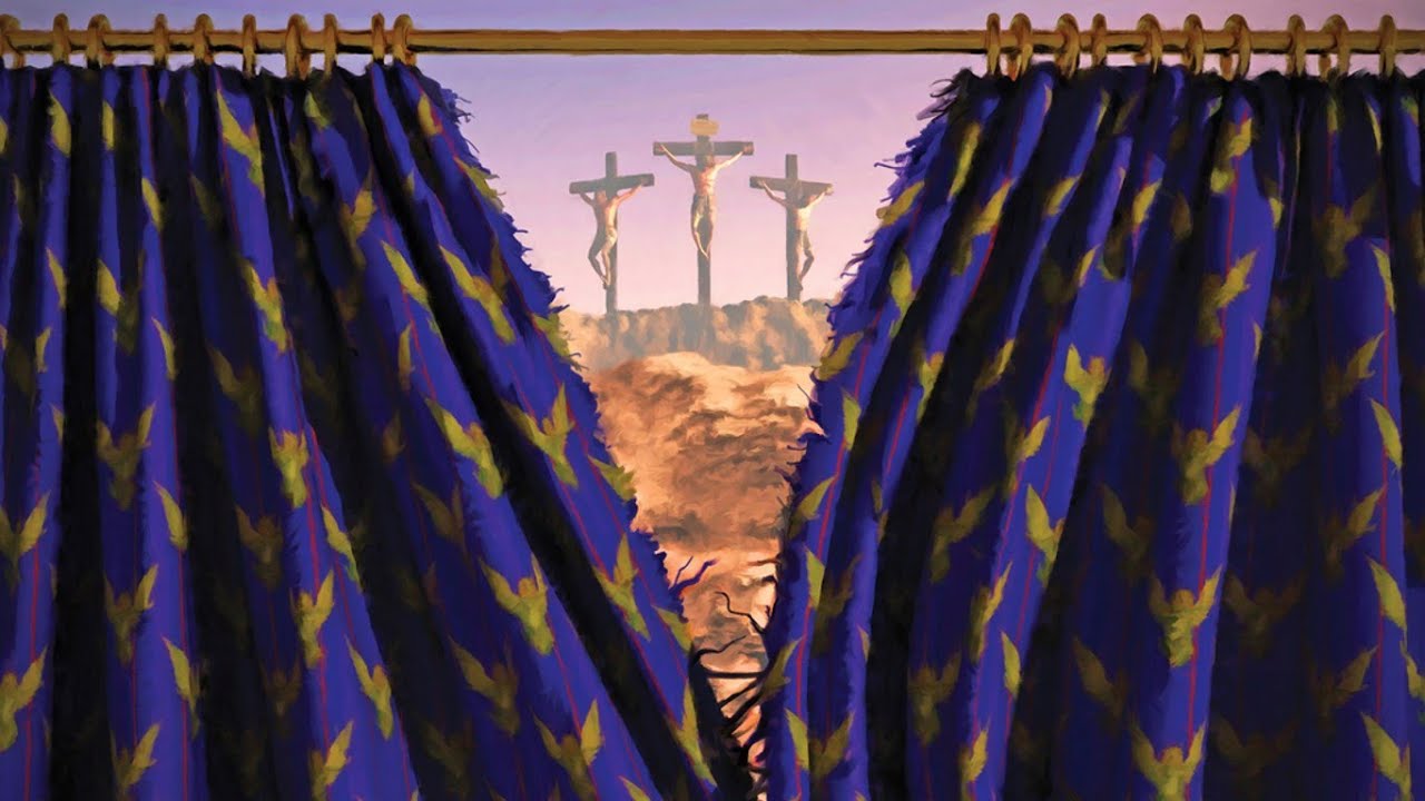 Штора на глазки. Глаз крокодила 3d. Шторки для глаз. Шторки на фуру с глазами. Лошадь со шторами на глазах.