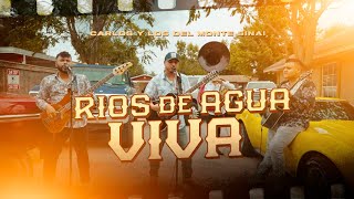 Rios De Agua Viva (En Vivo) - Carlos y los del Monte Sinai