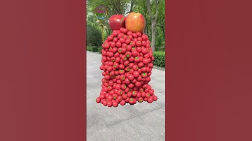 Create humanoid fruit and vegetable characters🍉🍒 that can stand up, walk and collide...