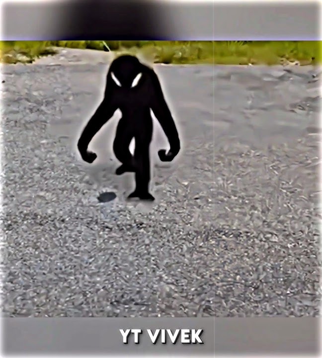 Skinwalker Monkey 💀