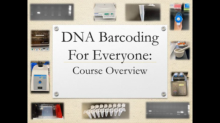 DNA barcoding - overview