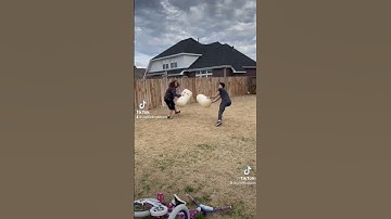 #wackadoodle #explodingkittens #throwthrowburrito 😝🌯