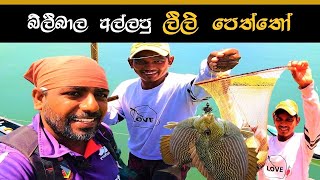 සංගිලියෙන් අල්ලපු මාලු | fishing | traditional lagoon fishing | ඕර පන්නය 🐠😲🎣