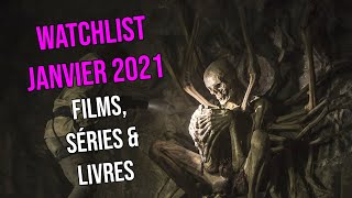 WATCHLIST JANVIER 2021 | Films, séries & livres (Shadowz, Outbuster, Canal)