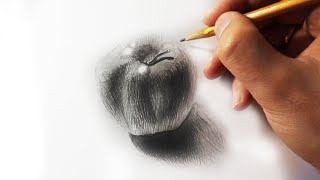Как нарисовать яблоко карандашом с 0 за 19 минут!