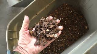 COCONUT SHELL BIOFUEL by VincentCorp1931 429 views 8 months ago 4 minutes, 25 seconds