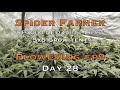 Day 28 Flower Spider Farmer SE7000 Self Sufficient Gardening, Give them a Break, Offset Waterings