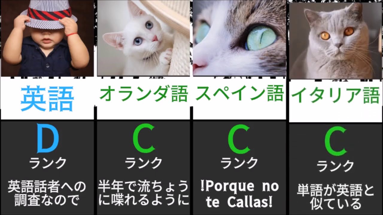 難しい言語を動物で例えてみた Youtube