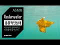 [ASMR] 몽환적인심해 시리즈 모음 | 이누야샤, 센과치히로, 장화홍련, 짱구, Lauv & BTS, 아련한, 잠자기전에 듣는, 음악, relaxing, study