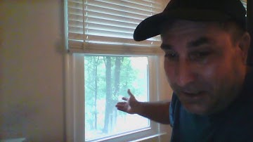 What is the Intellectual Dark Web