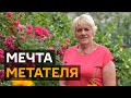 Дискобола из Алматы после Олимпиады-80 встречали в Кыргызстане всей деревней