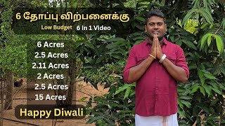 Low Budget Farm land for sale | 6 in 1 Video | Farm land for sale | Coconut Farm
