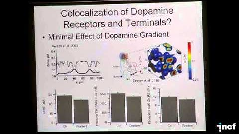 Kim "Avrama" Blackwell - Dynamical spatial models of signaling pathways [...] (2011)