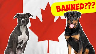 You Won't Believe These Dogs Are Banned in Canada