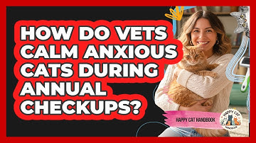 How Do Vets Calm Anxious Cats During Annual Checkups? - Happy Cat Handbook