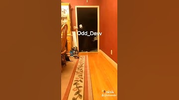 Odd Dev in a nutshell