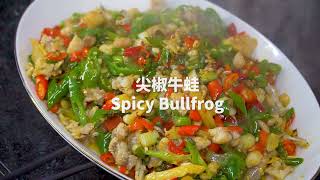 大厨教你做尖椒牛蛙，学会了这道菜，孩子都要抢着吃，Chili Bullfrog，chinese food,chinese cooking.