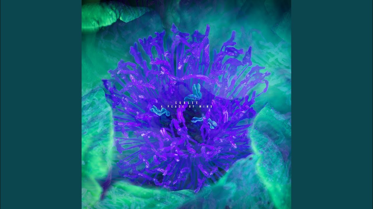 Regardez Cold Inside sur YouTube Regardez Cold Inside sur YouTube