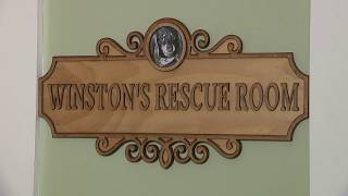 Animal shelter in the Poconos unveils new boarding room to help pet owners during hospital stays