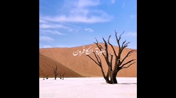 سورة : الكافرون القارئ : خالد الجليل
