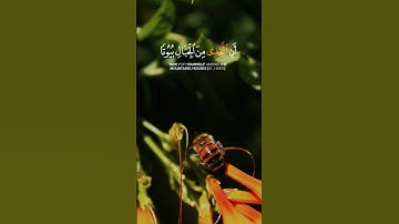 آيات من سورة النحل ❤️ #تصويري #سورة_النحل #قرآن #يوم_الجمعة #جمعة_مباركة #اذكار #نحل #bee #quran