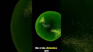 Citoplasma e Citoesqueleto - O Segredo da Célula - #universocurioso #citoplasma #citoesqueleto