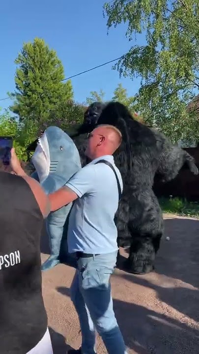 Зверская драка двух горилл 🦍#горилла #макстопор #деньрождениетарасова # ...