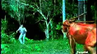 GMA - Machete - Episode 21 (February 21, 2011) part 2