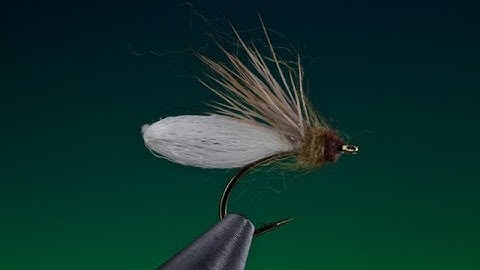 Tying a Para post diving caddis/sedge with Barry Ord Clarke