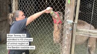 Owner of Oregon wildlife park pleads guilty to more than 40 charges of animal neglect