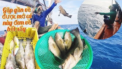 Buổi Sáng, Ngư Phủ Câu Cá Bóng Mú | Đánh Cá 2025 - Tập 56 | Sóng Biển Hứa Đông