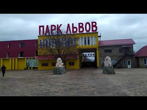 Видео: ВЛОГ:  Парк львов Тайган , КРЫМ