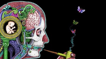 Electronic Butterfly