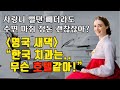 국제커플, 한국치과최고, 국제부부, 외국인아내, 영국새댁이 극찬한 한국치과후기! 사랑니 발치도 한국치과에선 넘나 좋아!