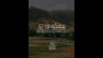 أجمل حالات واتس اب قرآن كريم بصوت القارئ رعد الكردي | ارح سمعك❤️
