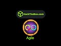 HackTheBox - Agile