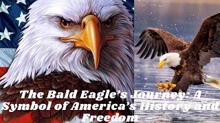 The Bald Eagle’s Journey: A Symbol of America’s History and Freedom