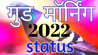Good morning video 🌷 Good morning shayari 🌷 Good morning status 🌷 video status 🌷 status video screenshot 5